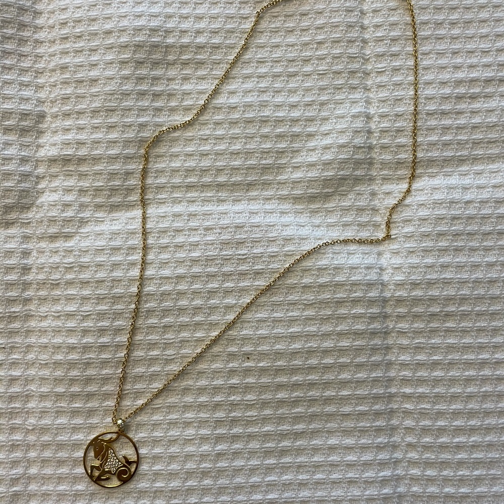 Capricorn pendant necklace